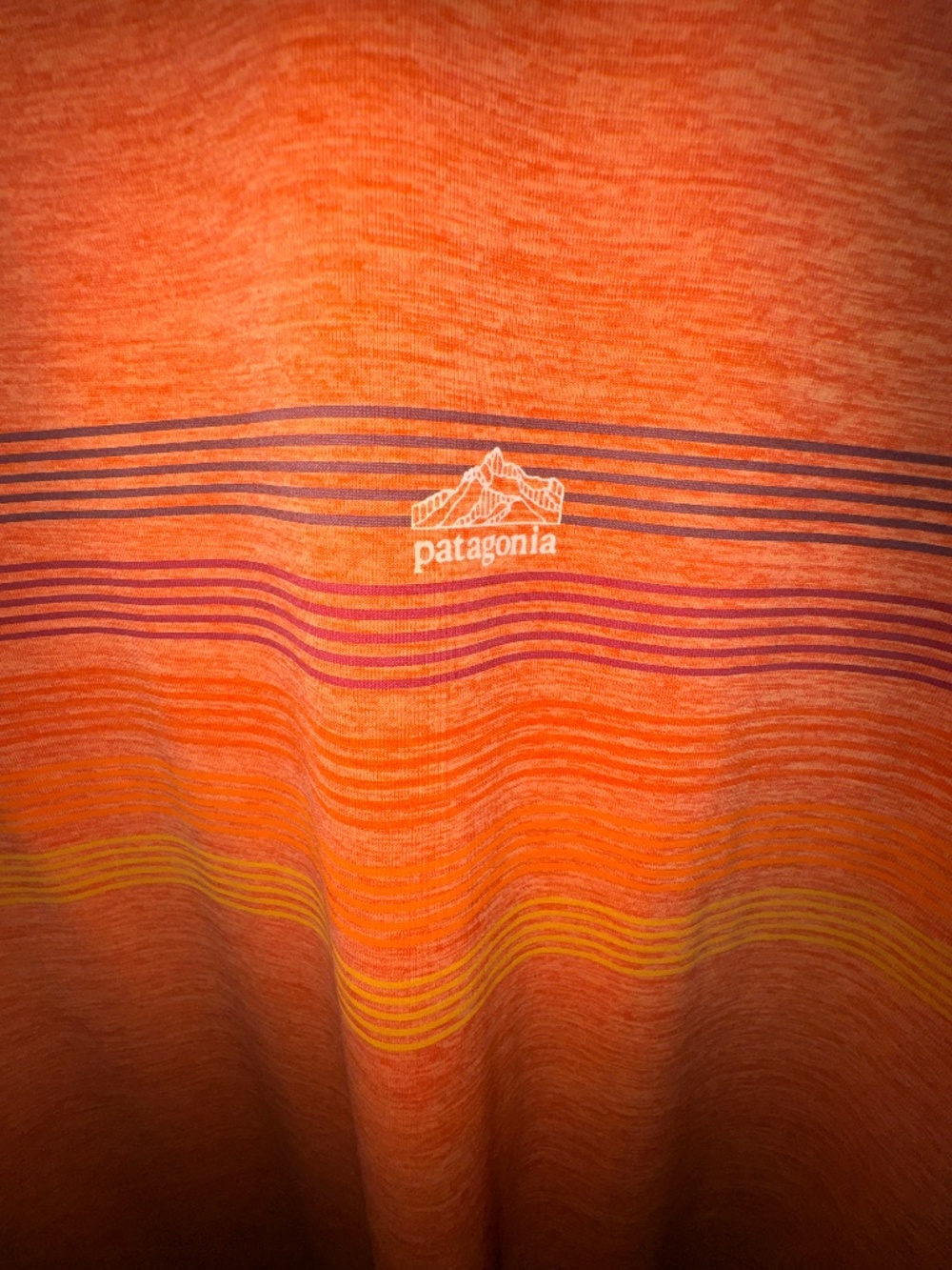 Men's Large Patagonia TShirt